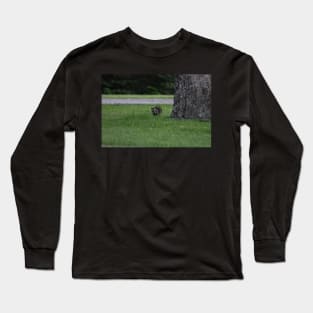 Baby Raccoon Long Sleeve T-Shirt